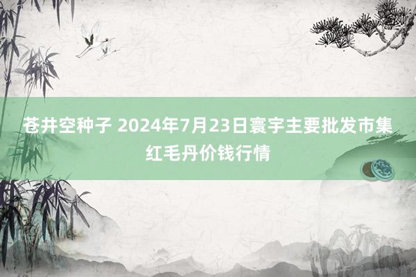 苍井空种子 2024年7月23日寰宇主要批发市集红毛丹价钱行情