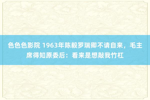 色色色影院 1963年陈毅罗瑞卿不请自来，毛主席得知原委后：看来是想敲我竹杠