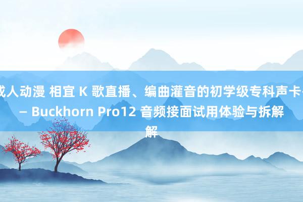 成人动漫 相宜 K 歌直播、编曲灌音的初学级专科声卡—— Buckhorn Pro12 音频接面试用