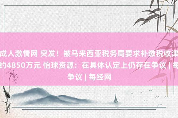 成人激情网 突发！被马来西亚税务局要求补缴税收津贴等约4850万元 怡球资源：在具体认定上仍存在争议