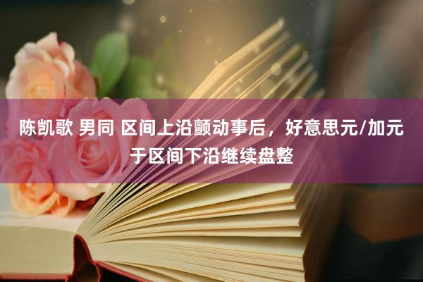 陈凯歌 男同 区间上沿颤动事后，好意思元/加元于区间下沿继续盘整