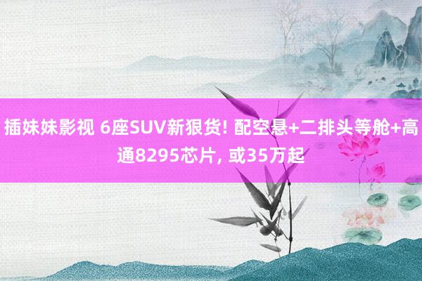 插妹妹影视 6座SUV新狠货! 配空悬+二排头等舱+高通8295芯片, 或35万起
