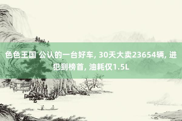 色色王国 公认的一台好车, 30天大卖23654辆, 进犯到榜首, 油耗仅1.5L