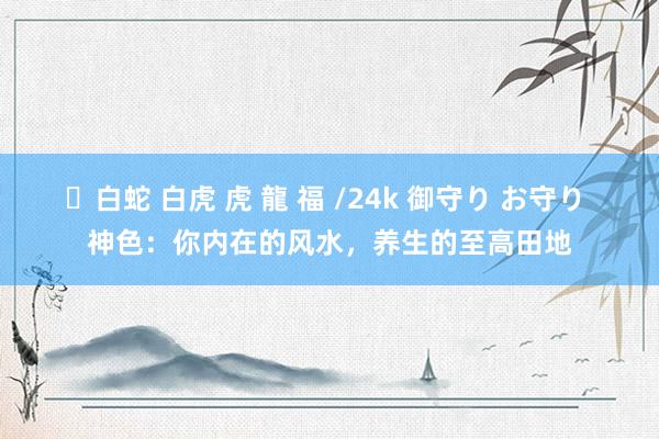 ✨白蛇 白虎 虎 龍 福 /24k 御守り お守り 神色：你内在的风水，养生的至高田地