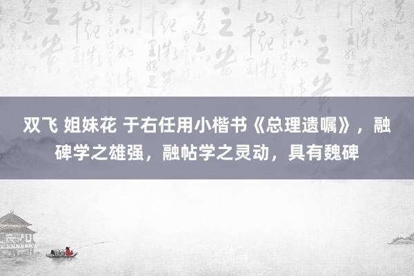 双飞 姐妹花 于右任用小楷书《总理遗嘱》,融碑学之雄强,融帖学之灵动,具有魏碑